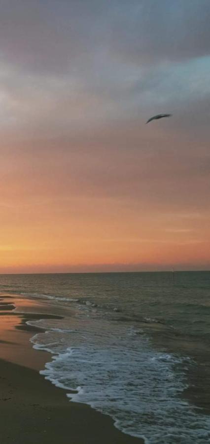 Casamare Alba Adriatica Frontemare Apartman Kültér fotó